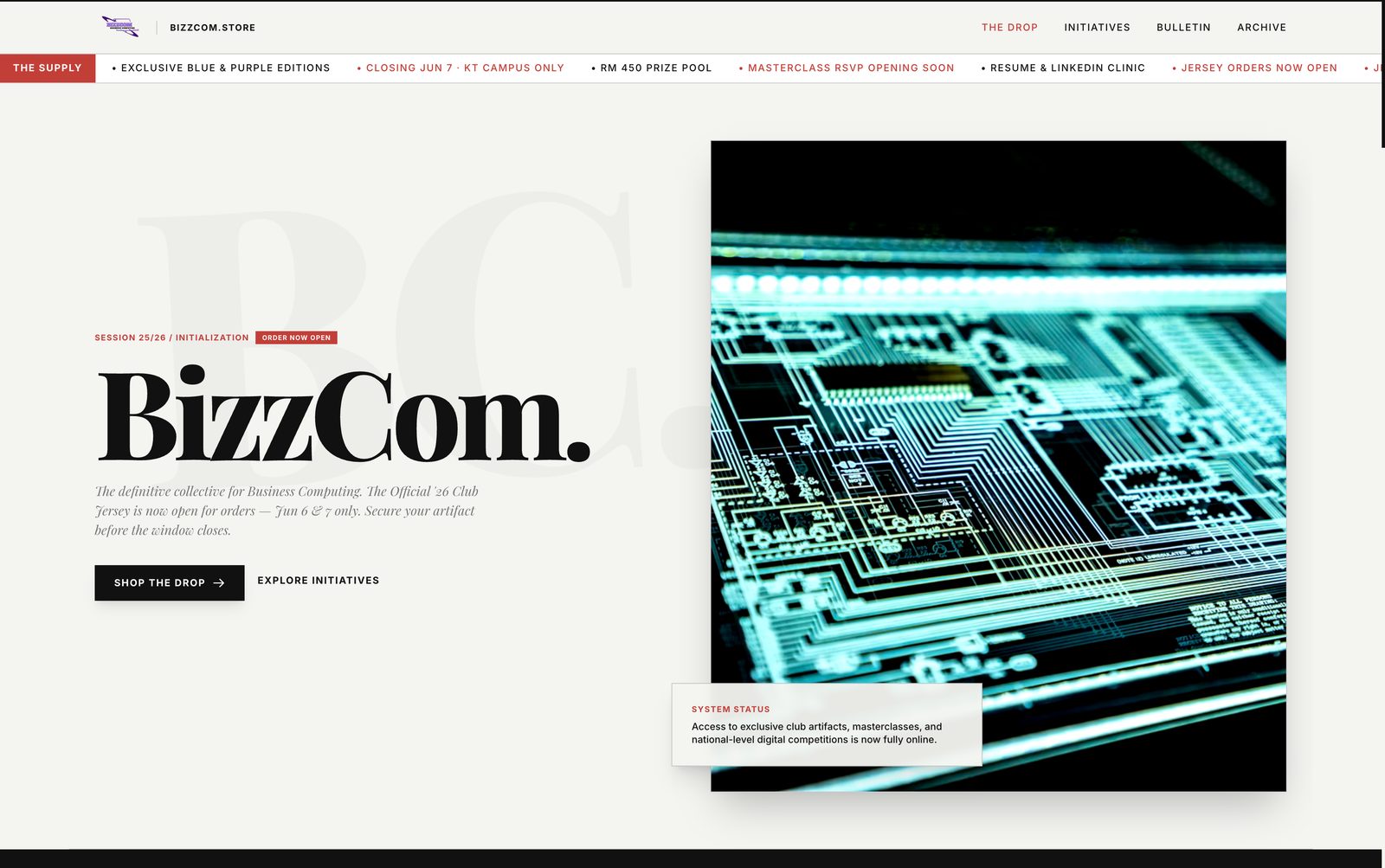 BizzCom.store landing page